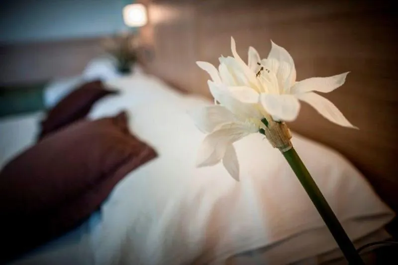 Hotel Amalfi - Smart Hotel Riccione 3*,